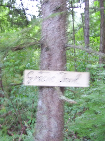 The trails have nice readable signs.
